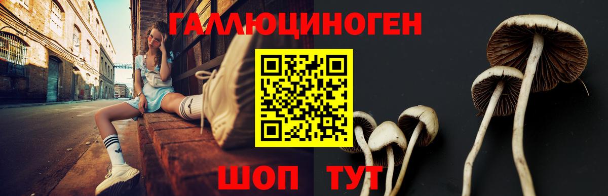 Галлюциногенные грибы Psilocybine cubensis  Вход с VPN  Клин 