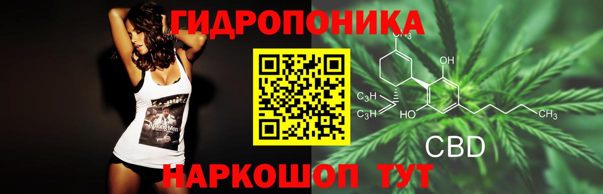 Бошки Шишки гибрид Клин